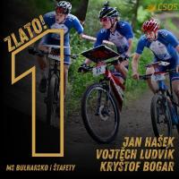 Páté zlato pro české muže: Hašek, Ludvík a Bogar vítězí na MS i v závodě štafet Páté zlato pro české muže: Hašek, Ludvík a Bogar vítězí na MS i v závodě štafet